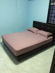 Blk 256 Pasir Ris Street 21 (Pasir Ris), HDB 4 Rooms #540157371